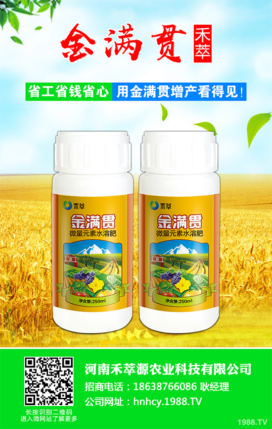 大蔥軟腐病危害這么大，到底該如何防治？大蔥軟腐病的癥狀及防治方法