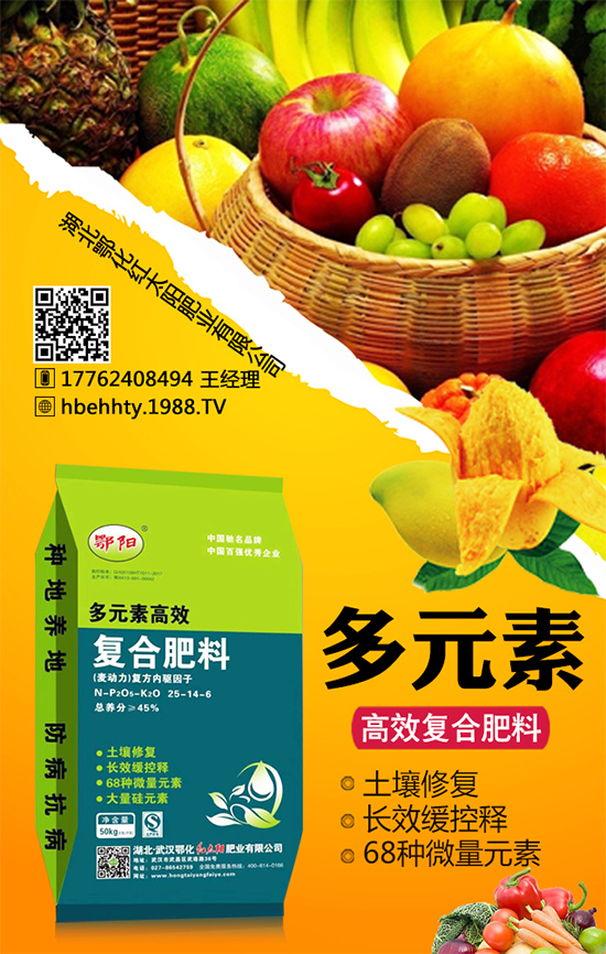 黃皮火龍果怎么種植？黃皮火龍果的種植技術(shù)！