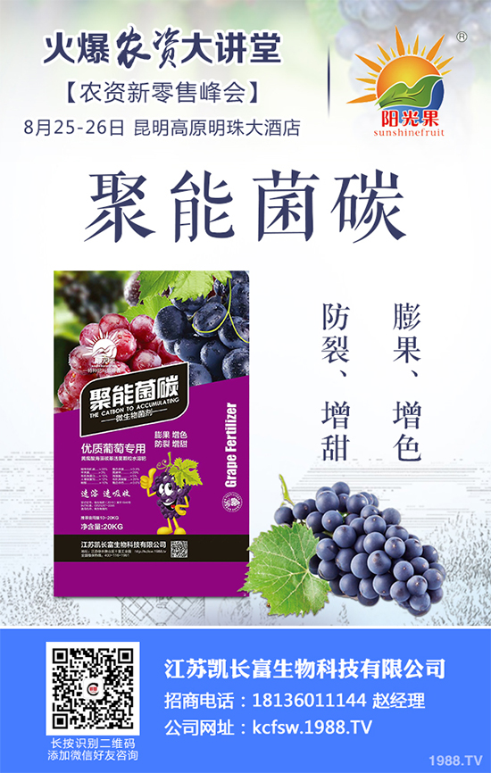 豌豆什么時候種植？該怎么種？豌豆種植時間及種植技術(shù)要點