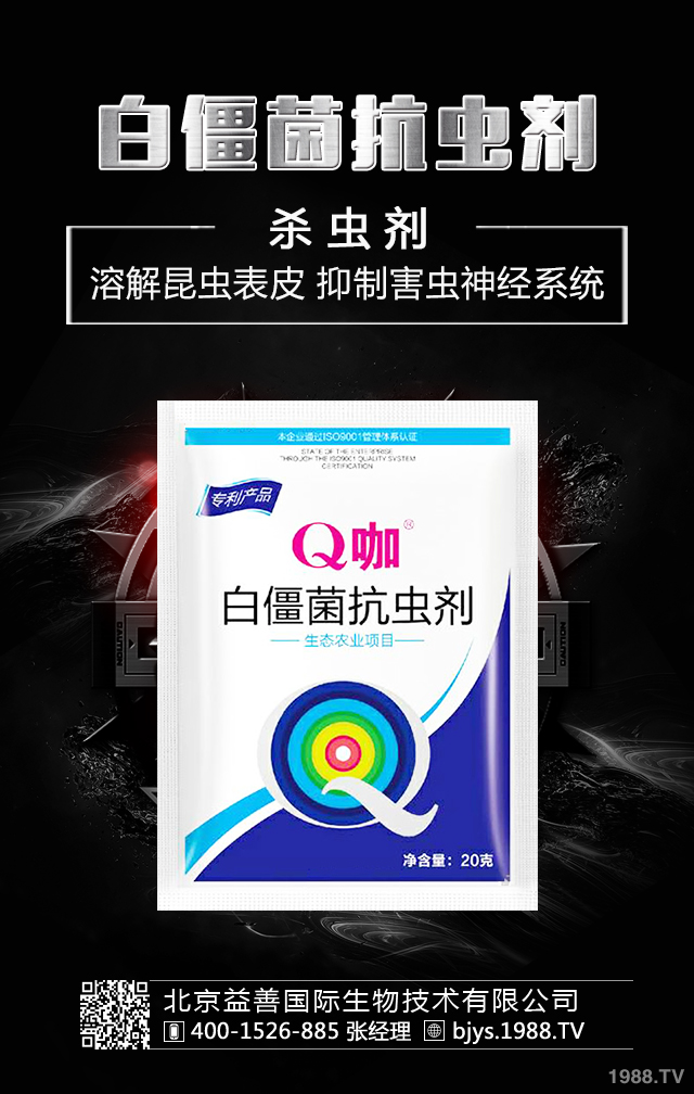 �¼����x����ô�������¼����x�����μ��\