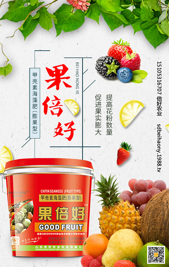 圣女果什么時(shí)間種植？圣女果種植技術(shù)要點(diǎn)有哪些？