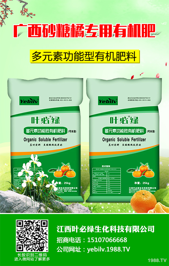     �㶹���ճ������г�Ҋ���߲����I�B(y��ng)�rֵ�S���������˂�ϲ�������㶹�Nֲ�^�����y������F(xi��n)һЩ���������u�������㶹�P���Ƿǳ���Ҋ��һ�N����������r���ξ͕���(d��o)�º��m����(y��n)�؜p�a(ch��n)����ô���㶹�P������ЩΣ���Y���أ�ԓ��η�����