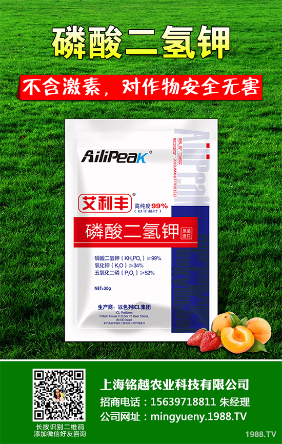 �㶹����������ЩΣ�����F(xi��n)��ԓ���ӷ������㶹���������η���