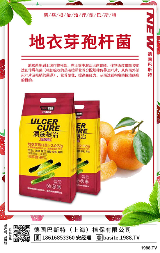 �t��̦��ô�N���t��̦�ķNֲ�r(sh��)�g���Nֲ������