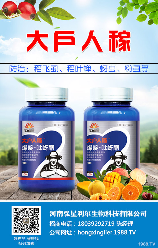 ���[�Nֲ��Ҫ��ô���������[�Nֲ�������g(sh��)Ҫ�c(di��n)��