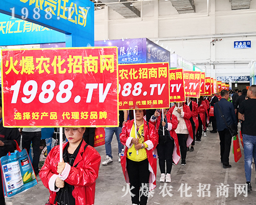 2019�L��ֲ����(hu��)�����r(n��ng)���W(w��ng)�����ƏV��(sh��)���ɓ���