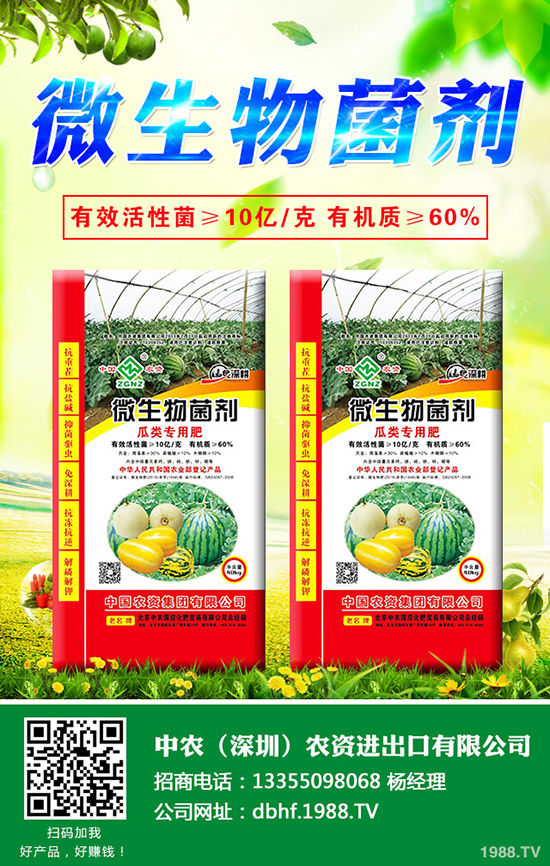 大白菜爛心是什么原因，大白菜爛心防治措施！