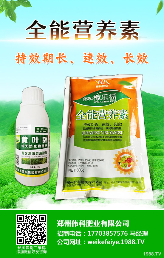 柿子樹(shù)怎么嫁接，柿子樹(shù)嫁接時(shí)間和方法！