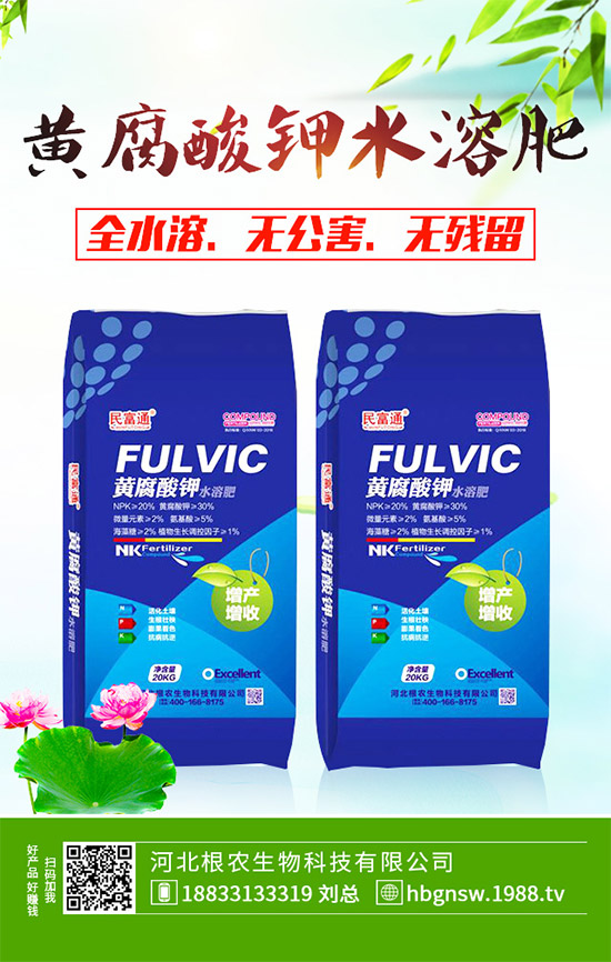 茼蒿該怎么吃？茼蒿的營(yíng)養(yǎng)吃法及注意事項(xiàng)