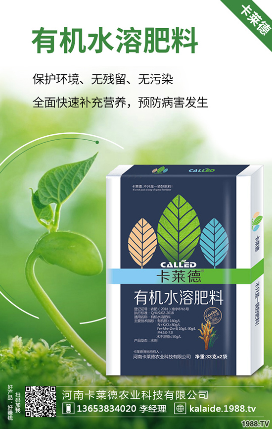�G�}�L(zh��ng)��̫�L(zh��ng)��ô�k���G�}���޼���������Щ��