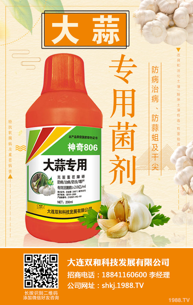 大蒜重茬病害如何防治？大蒜重茬病害防治技巧