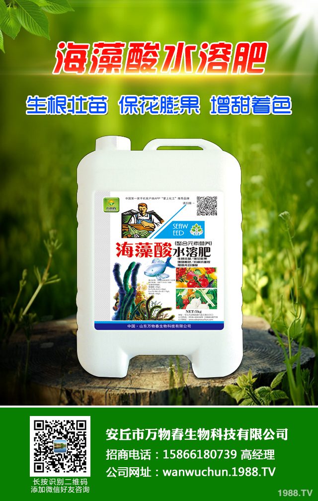 秋播小麥怎么提高質(zhì)量？秋播小麥提高質(zhì)量六要點(diǎn)