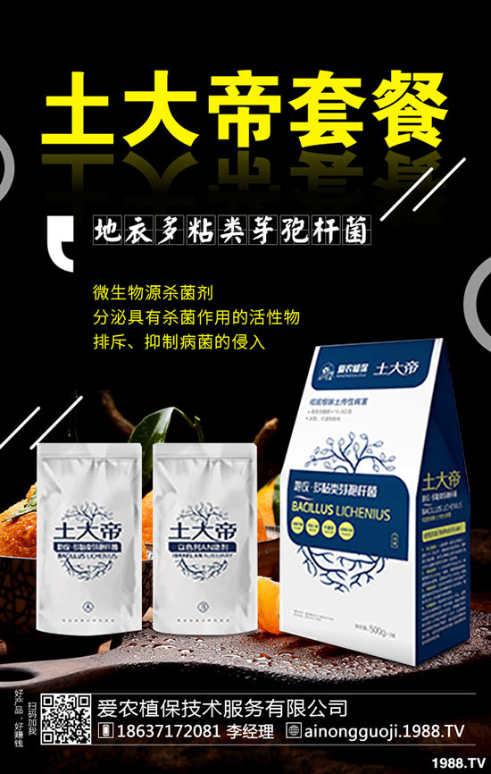 ���·ݿ��ԷNʲô�߲���2019��9���߲˷Nֲָ��!