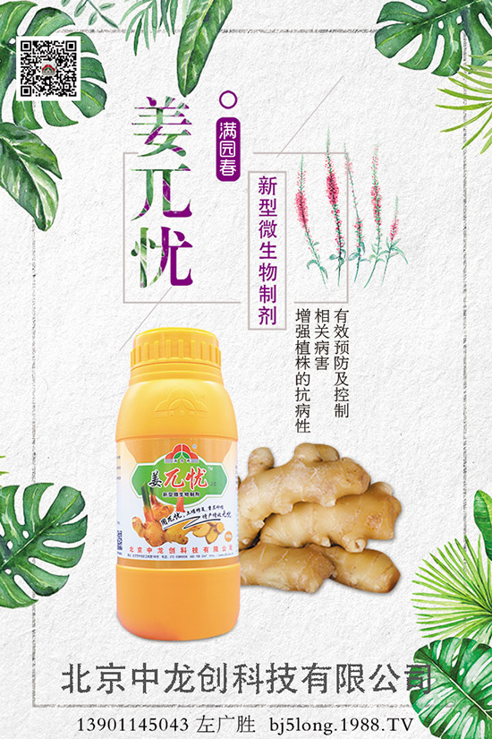 ����ʩ�ʵķ�������Щ�����ʩ�ʲ��ܸ߮a(ch��n)������ʩ�ʼ�����