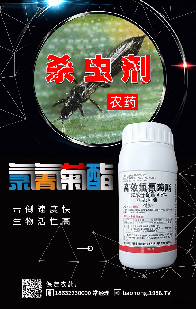 冬棚黃瓜薊馬防治要點有哪些？黃瓜薊馬防治技巧