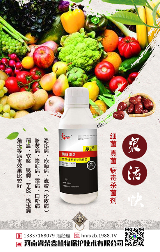 白菜軟腐病發(fā)病癥狀，白菜軟腐病防治措施