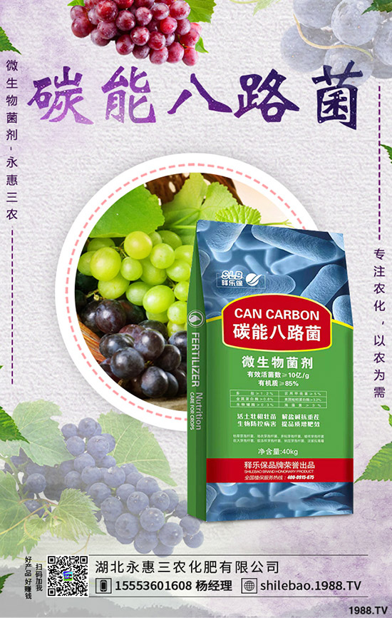     2019-9-7最新鉀肥價格行情動態(tài)評述，多少錢一噸？