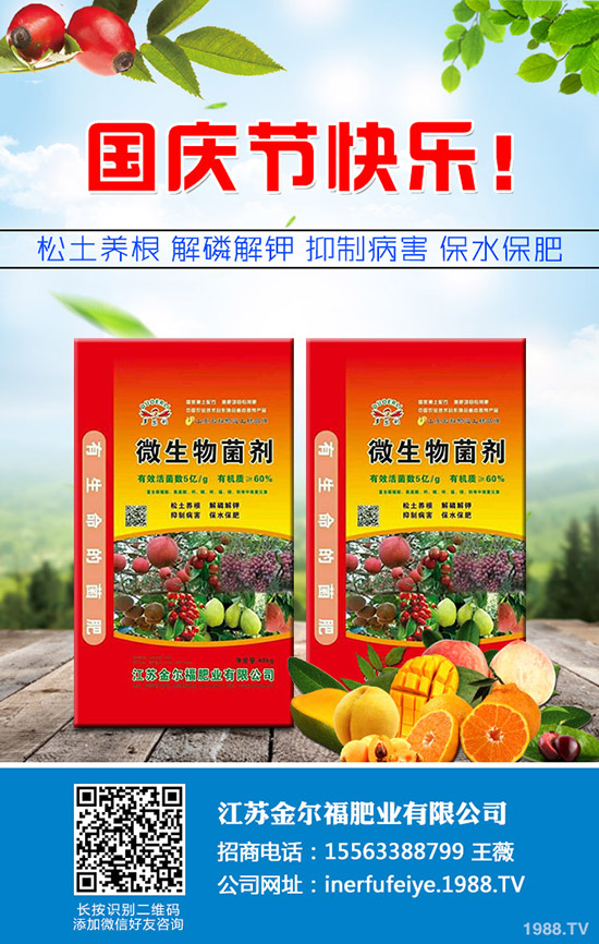     秋季香菜如何種植？香菜種植時間及種植技術(shù)、管理注意事項！