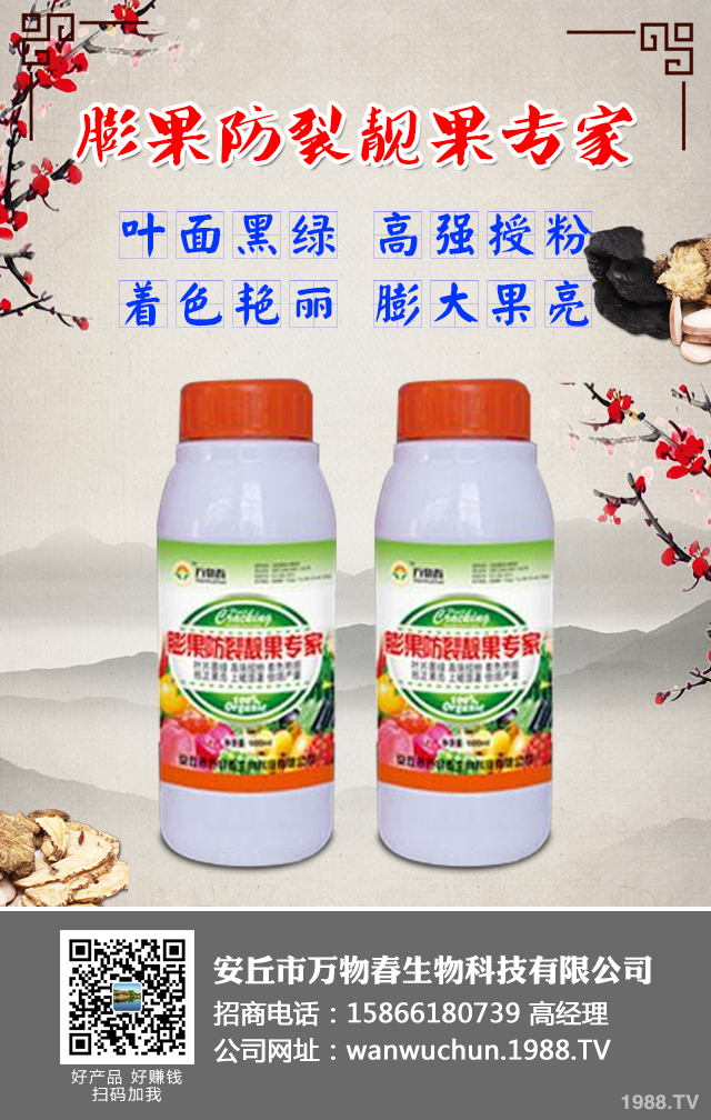 如何預(yù)防草莓畸形？草莓畸形防治技巧