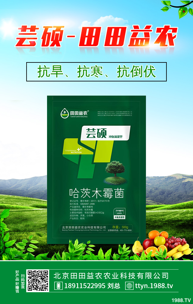 冬季柑橘如何防凍？冬季柑橘防凍技巧