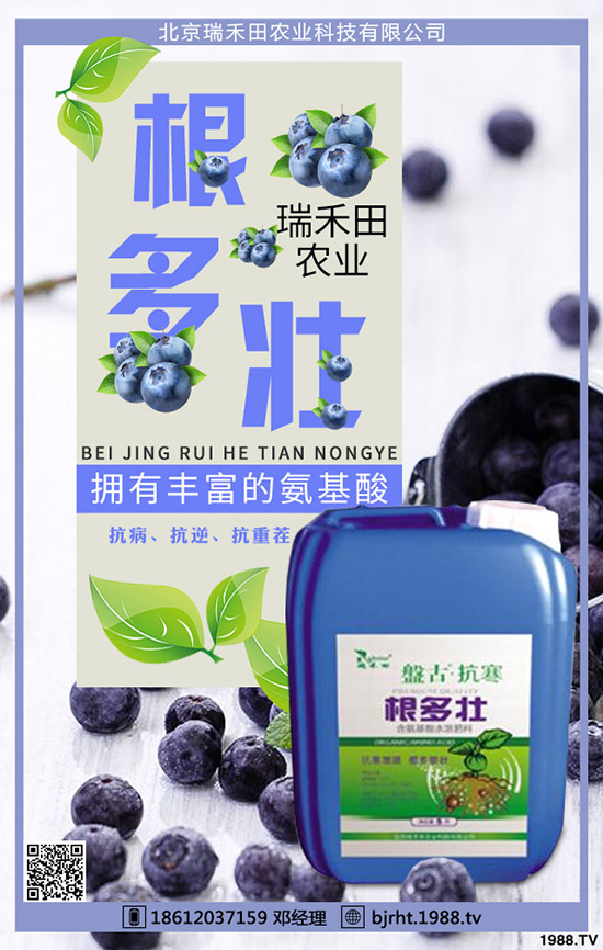 ���t��ʲô�r(sh��)�g�Nֲ�����t���Nֲ����