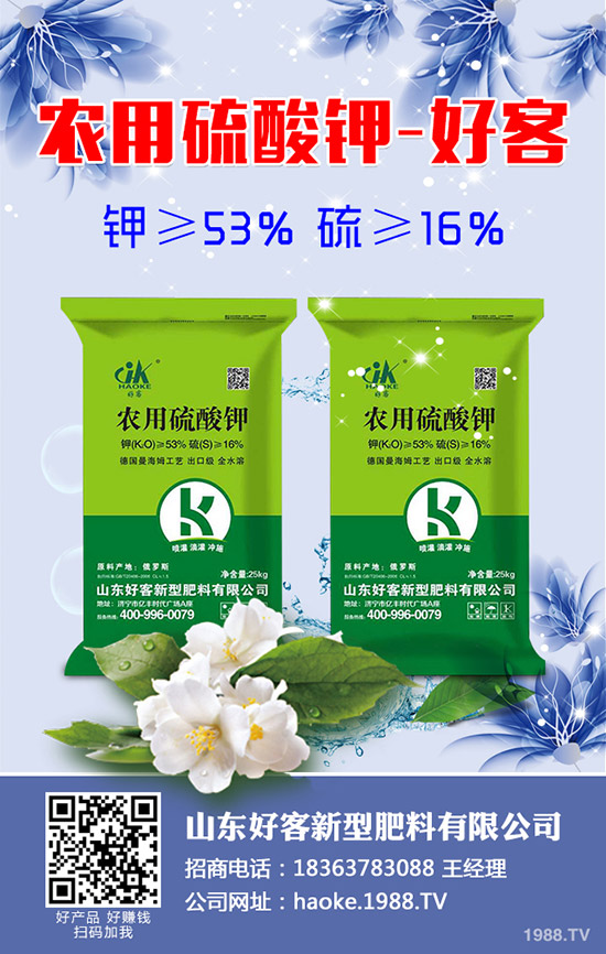 �S��ʲô�r��Nֲ���S�ϸ߮a(ch��n)�Nֲ���g����Щ��