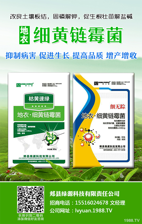 九月種什么蔬菜比較好？2019年9月蔬菜種植指南