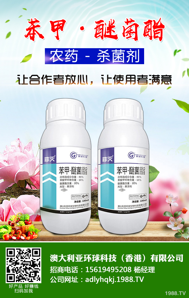 �O����֦�ɲ�����ô�k�������O�������N֦�ɲ���