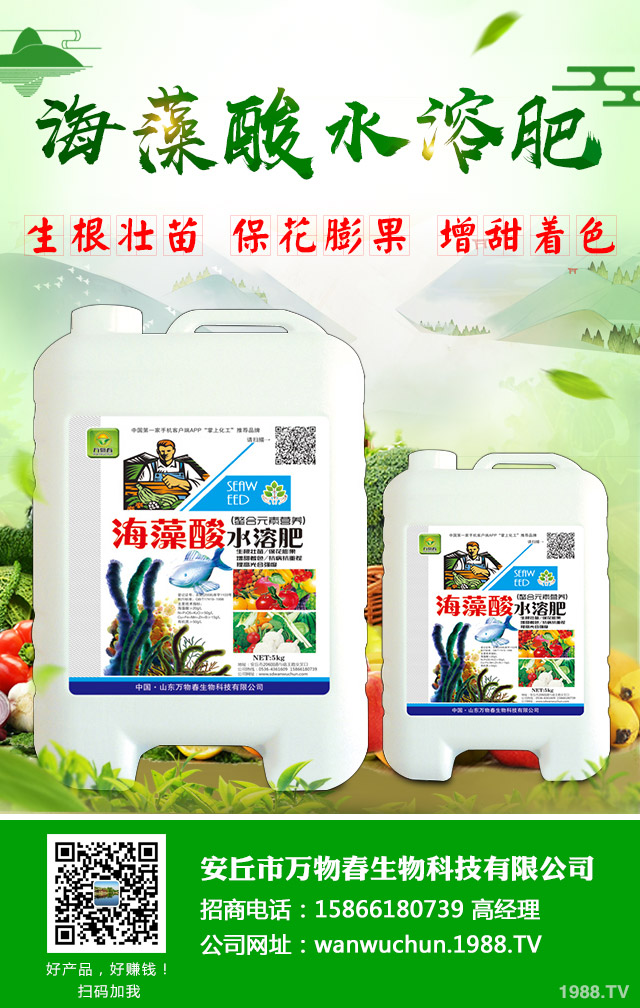 �O����֦�ɲ�����ô�k�������O�������N֦�ɲ���