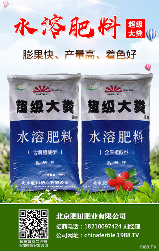 草莓得了紅中柱根腐病怎么辦？草莓紅中柱根腐病識別方法和防治！