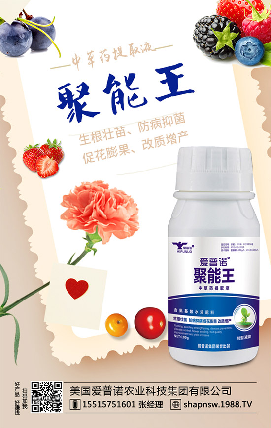 桑葚的功效與作用，孕婦吃桑葚有什么好處？