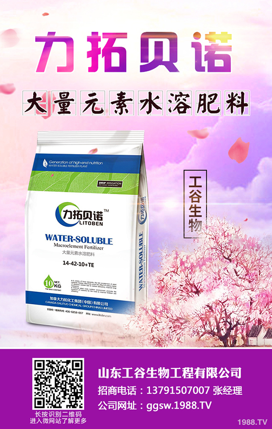     �������؃r�������Ո�(b��o)����������I(y��)���S�����rһ�[2019��9��9��