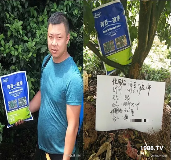 �������̦���������������Ƀ�����̦�oۙ��