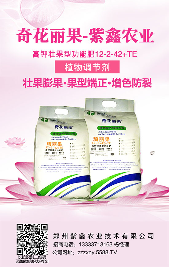 �S��ʩ�ʕr(sh��)�������������֪���᣿