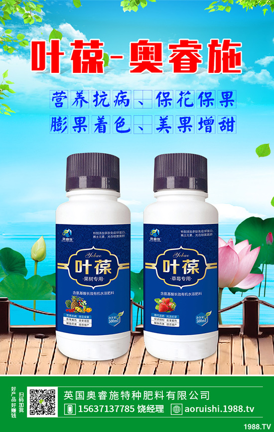 胡蘿卜什么時候育苗，胡蘿卜育苗方法有哪些？