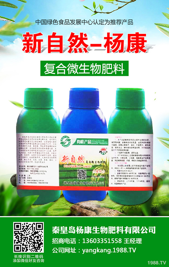 拐棗如何種植，拐棗種植技術(shù)及種植前景！