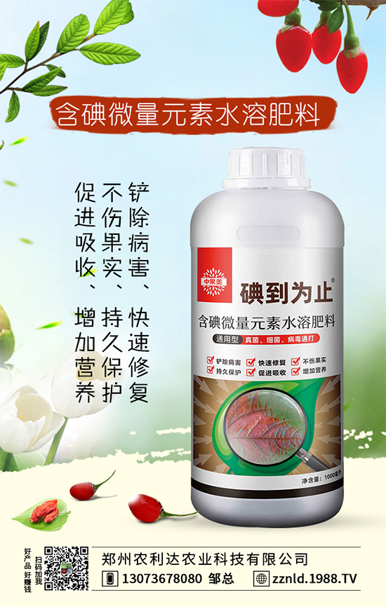 ɳ�ǽ�ʩ��Ҫ�v�������ͼ�����