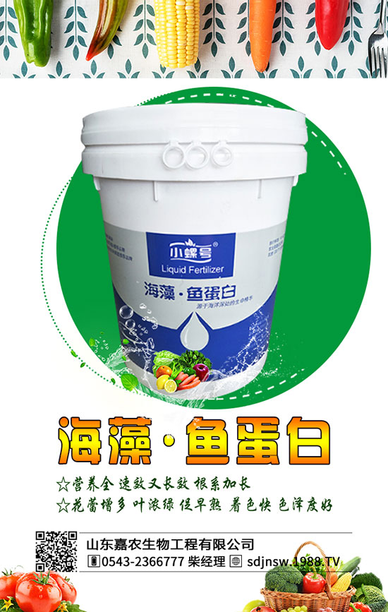 黃花菜什么季節(jié)種植好？2020年黃花菜種植前景及利潤分析！