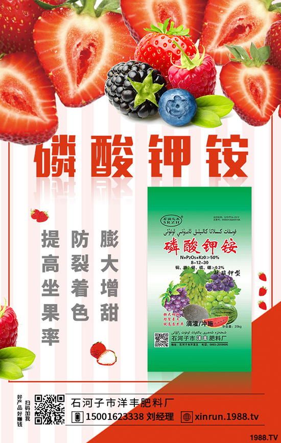 榨菜要高產，合理種植是關鍵！榨菜高產栽培看這里！