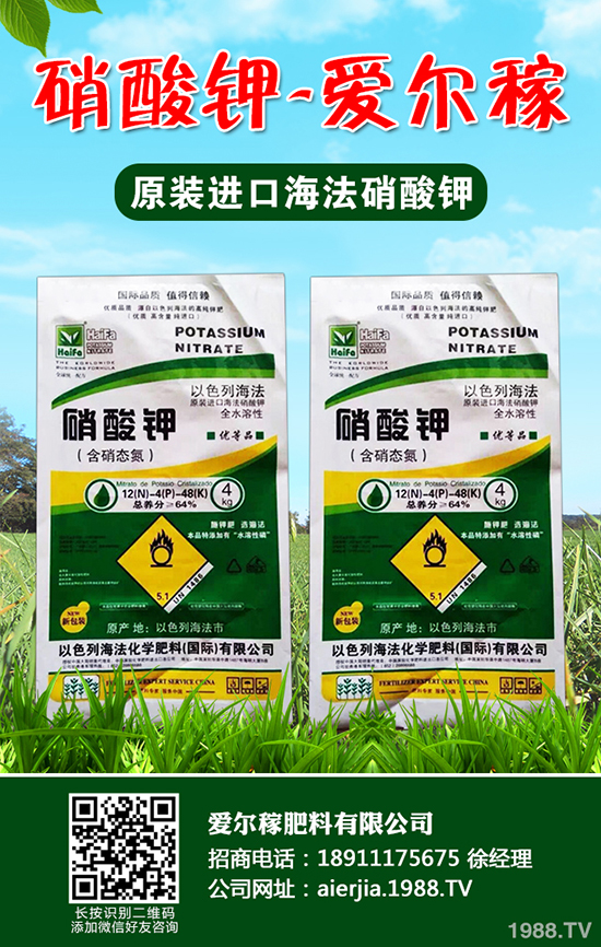 常吃蘆筍對(duì)人體有哪些好處？蘆筍的功效作用及營(yíng)養(yǎng)價(jià)值