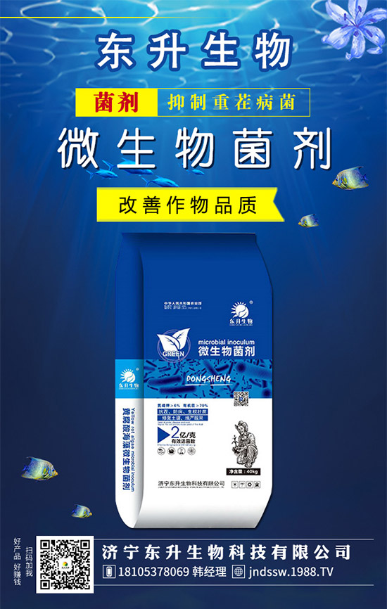 ʯ���ʲô�r��޽Ӻã�ʯ���޽ӷ�������Щ����