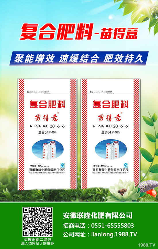 八角楓產(chǎn)地在哪？八角楓怎么種植？