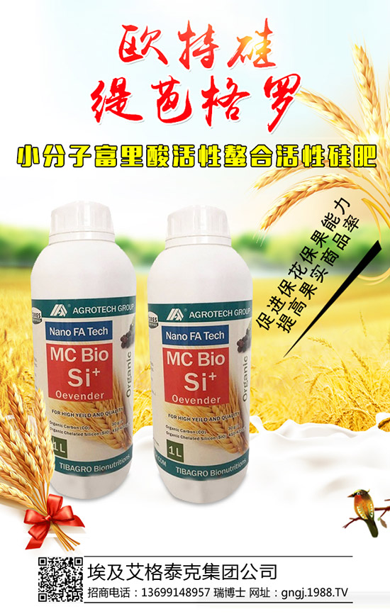 ���������Y(ji��)��������ô����������������������ʣ�