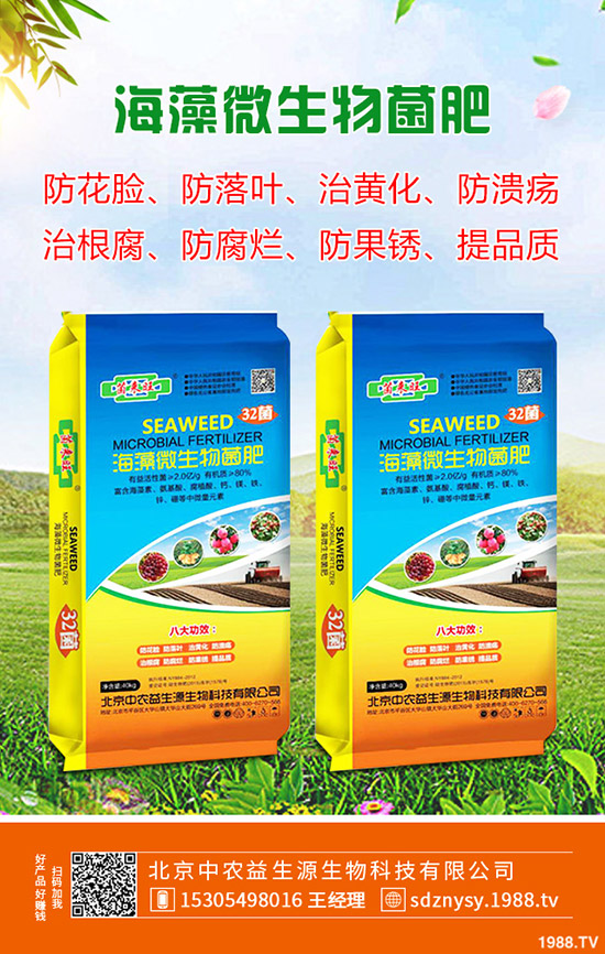     2020春季種植馬鈴薯技術(shù)要點(diǎn)！如何催芽？注意事項(xiàng)有哪些？