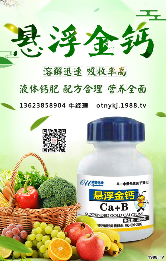 紅藤有哪些神奇功效？紅藤的功效作用及禁忌人群