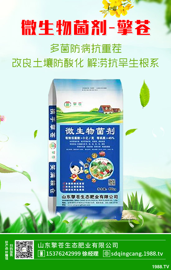     2020年1月4日春節(jié)前磷銨價(jià)格上??！最新磷酸一銨價(jià)格早報(bào)！