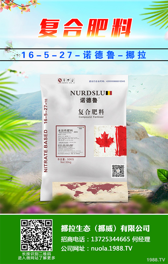 �Nֲʲôˮ����ٍ�X��2020��ˮ���Nֲָ��