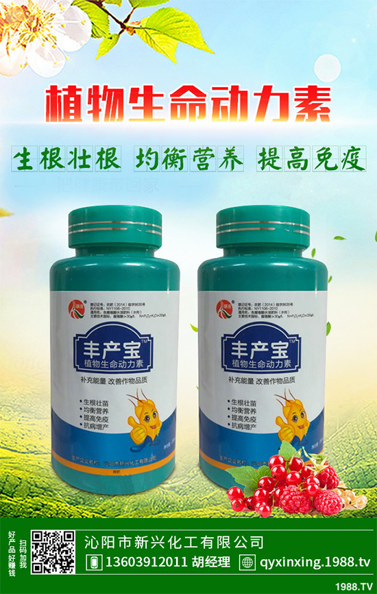 ���Ӳ��ܷN�ô�ײ�����ײ˸߮a(ch��n)�Nֲ���g(sh��)Ҫ�c(di��n)