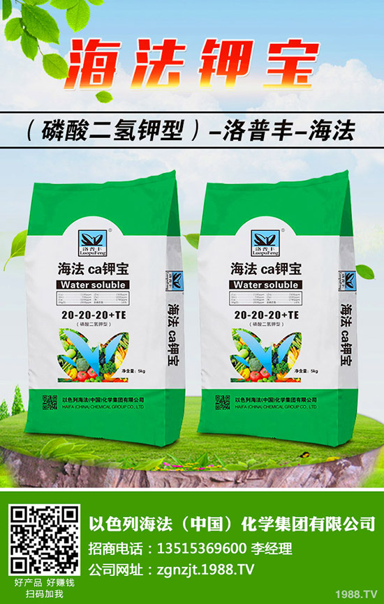 �������ö�������޼�����䶬���޼��ĕr(sh��)�g��������