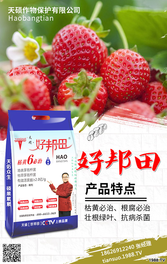 2020���r(n��ng)��Nֲʲôˮ��ٍ�X����Щ�N����Ʒ�N���^����